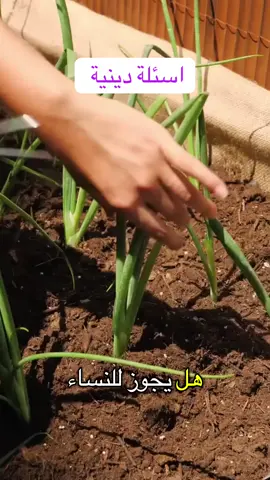 اسئلة دينية 