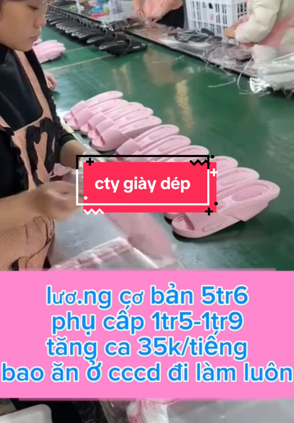 cv đơn giản dễ làm. có ai muốn làm không ạ#hmoob#hmong#vieclamvungcao#vieclamhagiang#vieclamdienbien#vieclamsonla#vieclamlaichau#vieclamlaocai#vieclamyenbai 