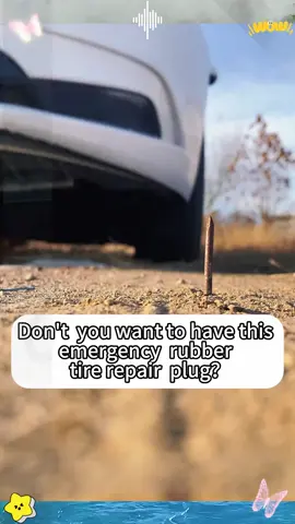 Tire Repair Screws 60pcs #flat #flattire #flattires #repair #repairs #repairshop #glovebox #toolbox #tool #tooloftheday #getyouhome #patch #screw #screws #easyfix #fix #offroad #truck #car #musthave #emergency #roadside #roadsideassistance #highway #backroads #tightspot #screwdriver #beahero #hero #savetheday 