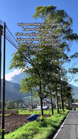 #katakata #bahanswmu #foryoupage #fyp #fypシ゚ #viral #fypviralシ #wonosobo #dieng 