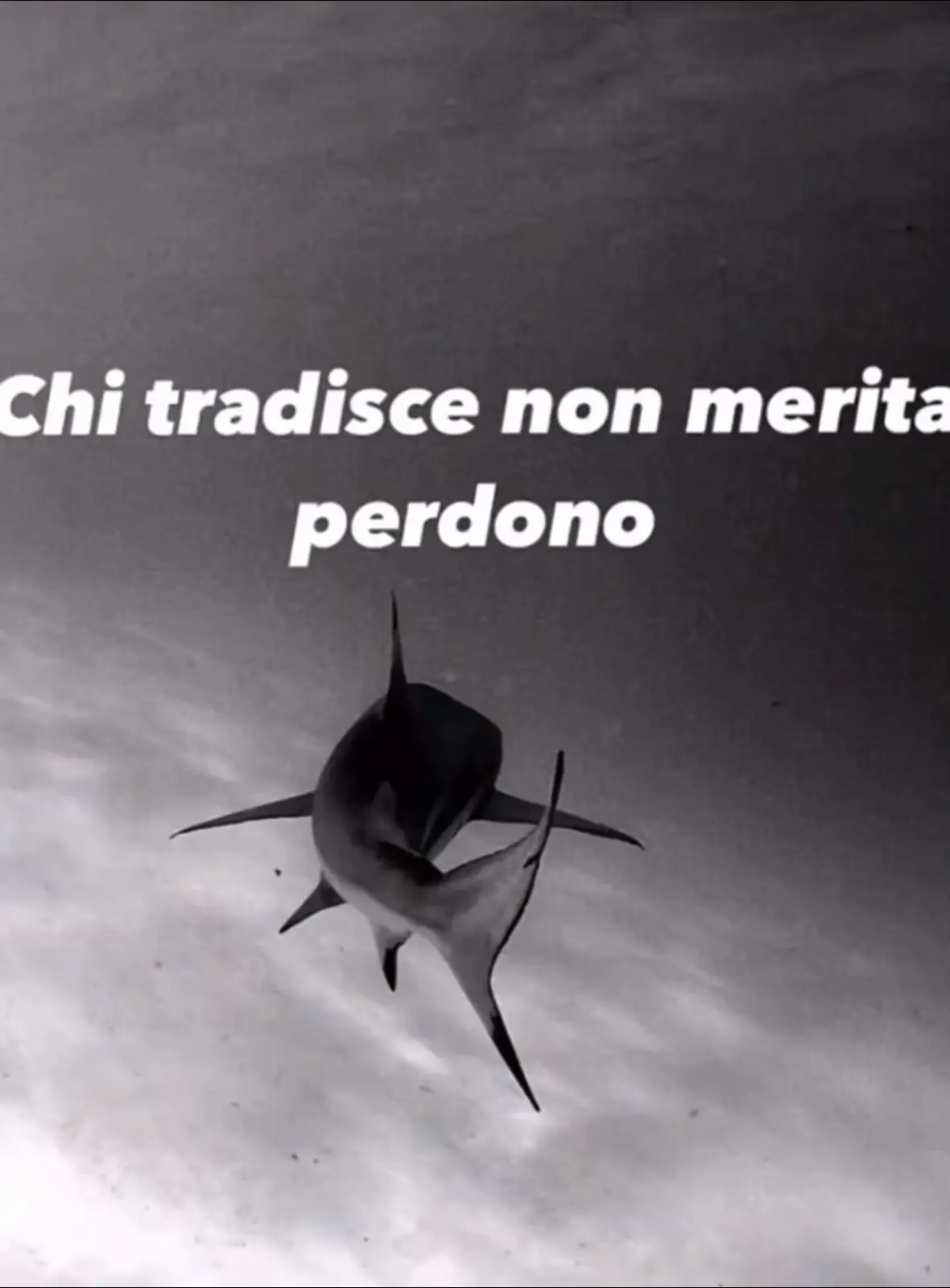 #frasimalavita #frasi #frasimalavita👹💯 #frasimalavitose #frasimaidette #frasimalavitastati #frasimalavita🏴🧠 #frasimalavita💯💯 #frasimalavite 