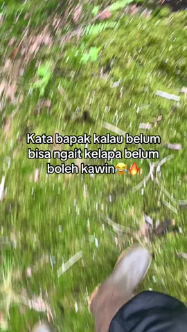 Kacau😂#petanikelapa🌴🌴 #petanikelapa #petanimuda #anakpetani #bosmuda #boskelapa #fyppppppppppppppppppppppp #fyp #foryoupage #xybca 