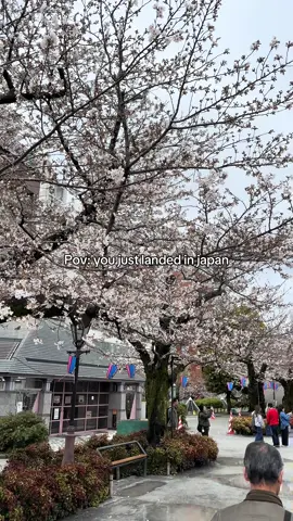 🇯🇵#japan #fypage #traveltiktok 