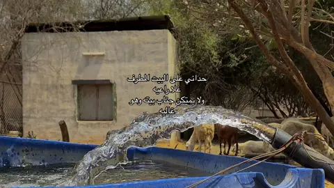 #اكسبلور #بدون_موسيقى 