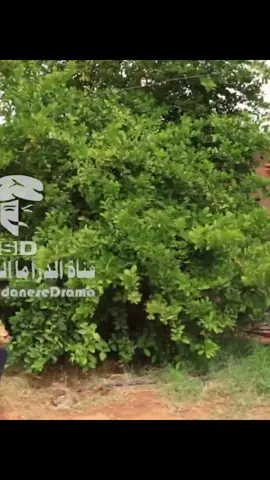 #فضيل_بالسوداني  #عبدالله_عبدالسلام_فضيل  #مجموعة_فضيل_الكوميدية  #مجموعة_فضيل_الكوميدية😂😂  #فضيل_السودان_كوميديا_السودان #جخو،الشغل،دا،يا،عالم،➕_❤_📝 
