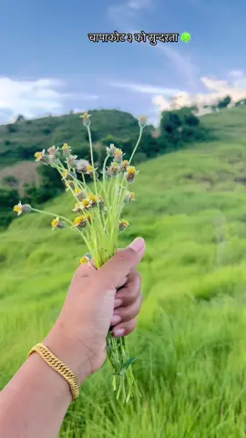 #fyp #peace #nature 