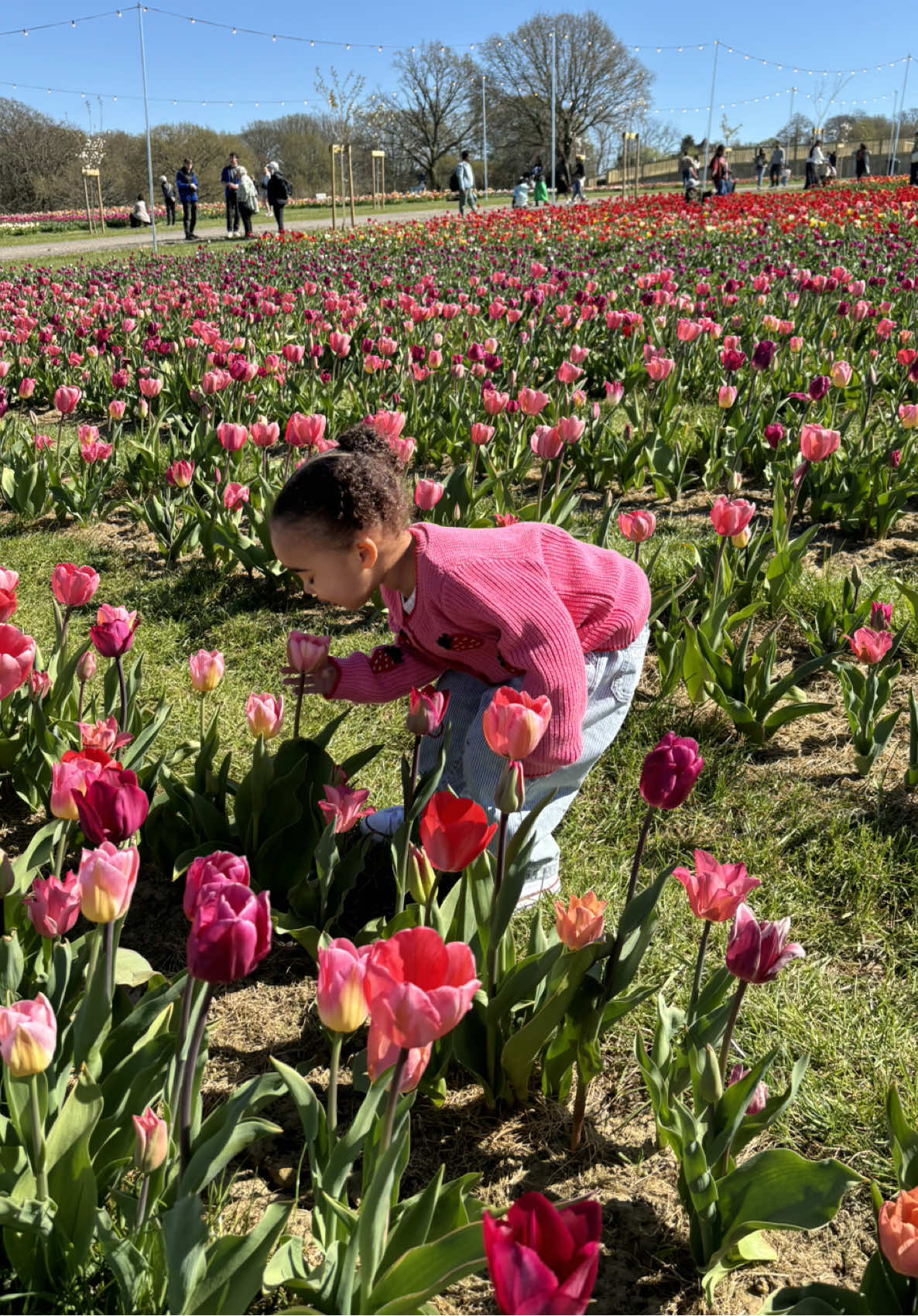 GRWM with Alora to go and see the tulips 🌷 at Tulley’s Farm