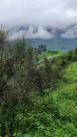 El sonido de las aves y del viento fluir nos ayudan a sentirnos mejor ❤️‍🩹  Dios se encuentra en cada rincón 🙏  #aves#arboles #airepuro#montaña#nubesdealgodon 