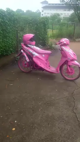 aktivitas kembali bolo