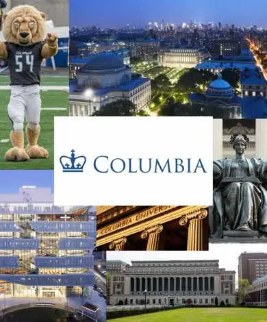 🩵💙 #facts #usa #university #stats #youniversityguide #columbia #viral #ivyleague #xyzabc 