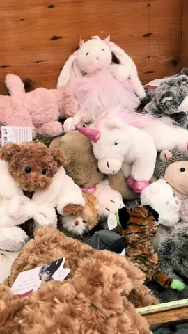 🧸NUOVI PELUCHES BUKOWSKI🧸 Sono arrivati i morbidissimi peluches Bukowski, passa a trovarci e scoprili tutti! #fyp #libreria #mondadoristore #toyslovers #peluches #bukowski#vicolungothestyleoutlets #rusconilibri #novità #gioco