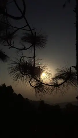 peace within #dawn #videography #photography #creatorsearchinsights 