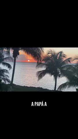 La soledad del padre…!!! #graciaspadre #papa #teagradezco #amilado #soledad #motivacion 