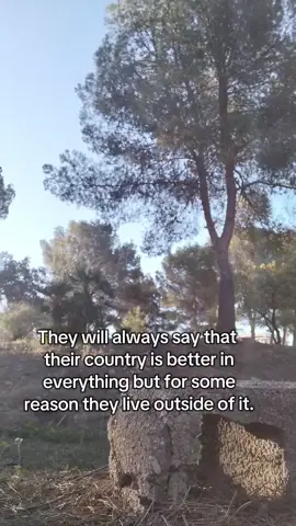 if you don't appreciate where you are living,  go back to your loved country