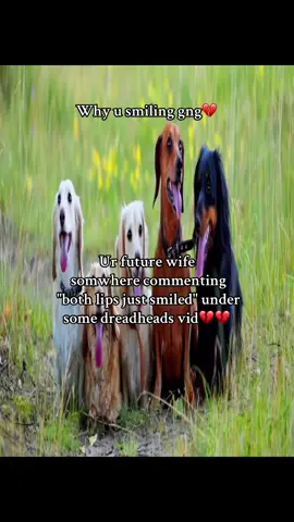 Fire caption #tiktok #dogs #real #video #back #real #viral