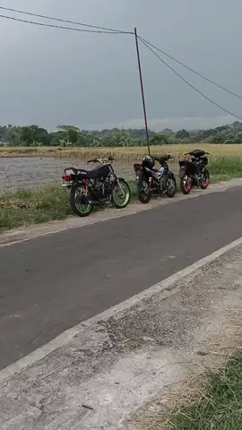 kata² ne isinen dewe Mack #rxking #rxking135cc #rxkingnusantara #rxkingindonesia #mxking150 #mxkingsolostyle #jupiter #5tp #fyp #foryou #trending 