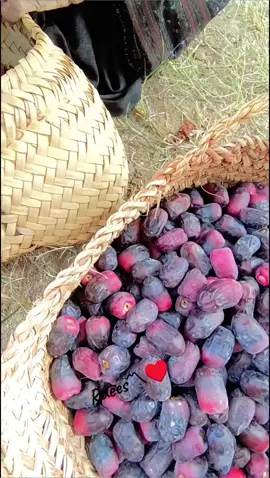 #foryourpage #vralvideo #ilovetiktok #viral #raees〽❤️ میں روان بلی 