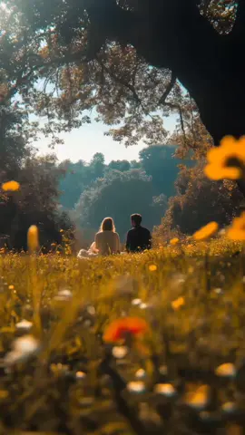 𝗞𝗵𝗮𝘄𝗮𝗵𝗶𝘀𝗵𝗲𝗶𝗻 𝗠𝗶𝗹𝗻𝘆 𝗞𝗶 𝗧𝘂𝗺 𝗦𝗲🫶🏼😍❤️‍🩹 Beautiful Aesthetic video for story status❤️ Tiktok Team need support Only vocals No Music #Tiktok #unfreezemyacount #Tiktok #viewsproblem #trendingsongs #aestheticvideos #shafa_aesthetics1 #ayeshaesthetics1 #hindisong #urdulyrics #lyric #edit #aestheticsounds #slowedandreverb #content #growmyaccount #viral_video #hellotiktok #foryoupage❤️❤️ #fyp 