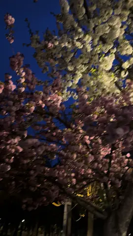 #بدون_موسيقى 