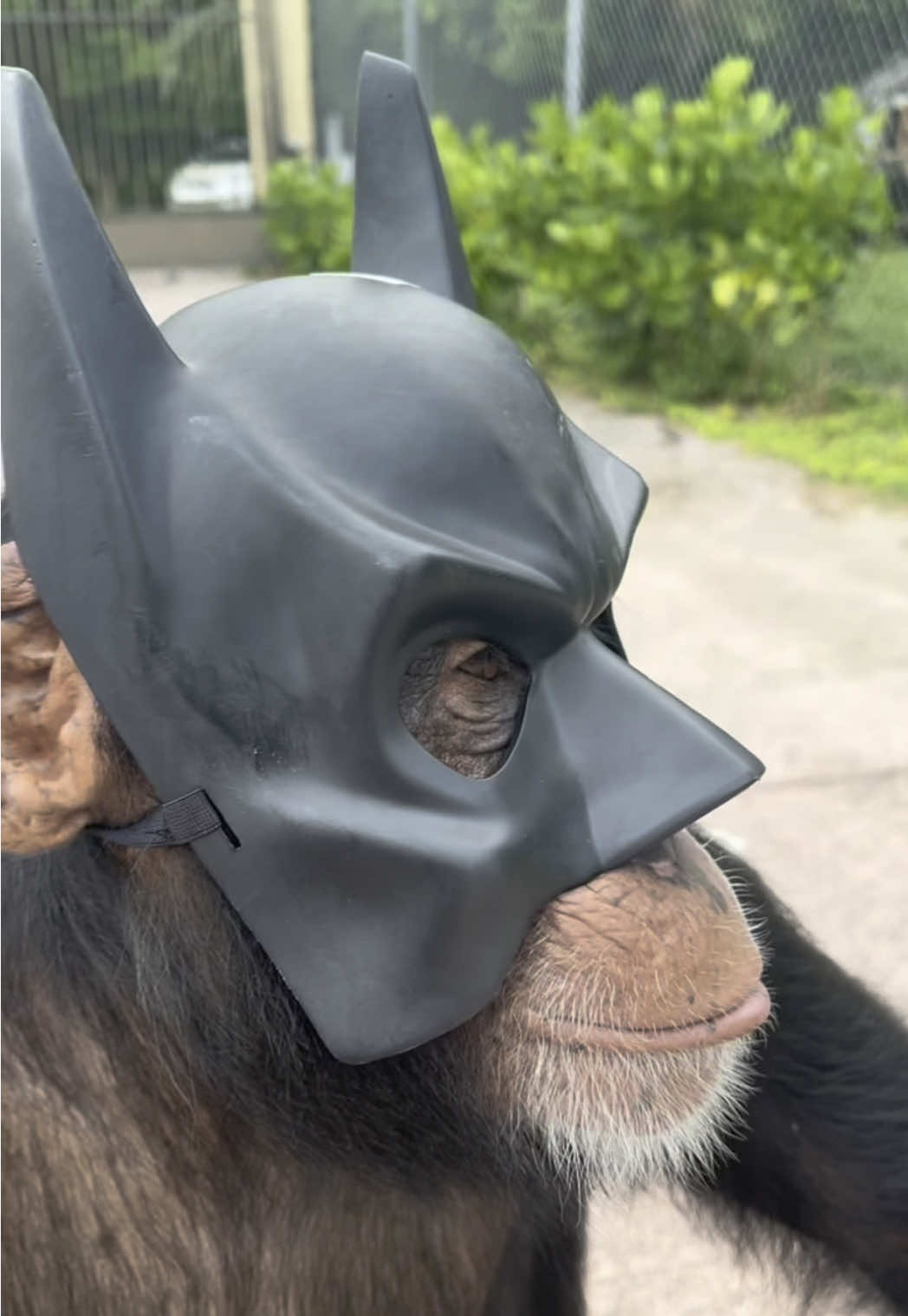 Nobody cared who he was until he put on the mask… 🦇