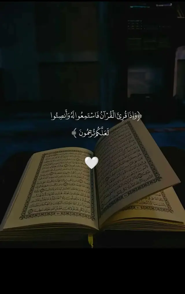 #القران_الكريم #قران_كريم #قران #ياسر_الدوسري #fyp #tiktok #capcut 