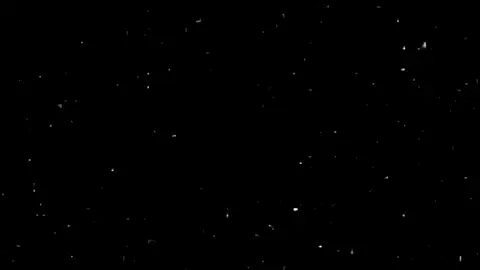 غوكو بلاك مسابقة الاخ@𝐓𝐈𝐌𝐔𝐑 𝐒𝐀𝐌𝐀  #انمي_anime #ابداع #تصاميم_فيديوهات🎵🎤🎬 #انمي  #مشاهدات #افكار_بسيطه #مشاهدات100k🔥  #مشاهدات_تيك_توك #افكار_وابداعات_بسيطة  #تيم_هوند #dragonball 