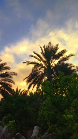 اهاجر لو شفت عد ناسي ما مرغوب ..💔#قناتي_تليجرام_بالبايو💕🦋 