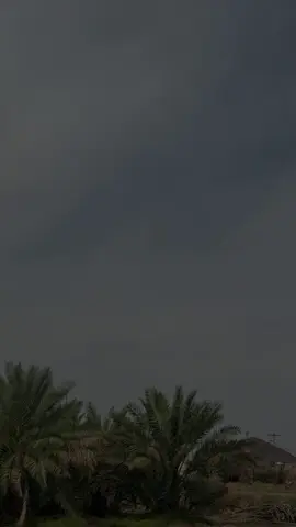هون عليك …☘️ 