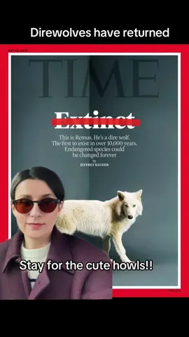 #got #gameofthrones #housestark #direwolf #direwolves 