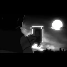 مونيكا صاعد😂😂. #اغاني #اغاني_عراقيه #مسلسلات #fyp #حبزبوز #كرم 