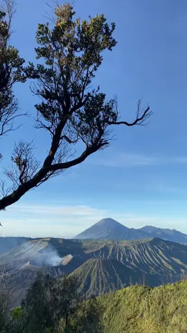Bromo dengan vibe nya#bromo #bromotenggersemeru 