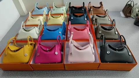 It's beautiful. I want every color.#hermes #lindy #bag #luxury #designer #fyp #Dream #birthday 
