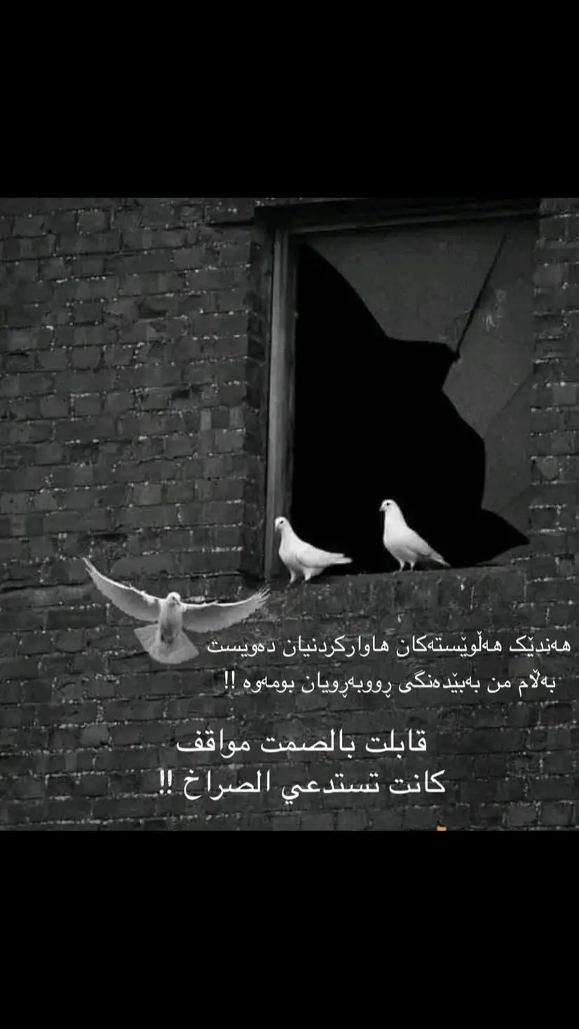 #hawler_slemani_dhok_karkuk_hallabja #fyp #foryoupage_tik_tok #foryoupage #foryou 