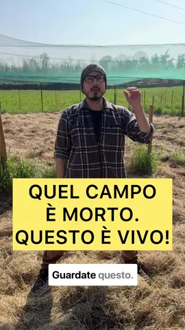 QUEL CAMPO È MORTO.. QUESTO È VIVO.. . . #agricolturaitaliana🚜 #agricolturabiologica #agricoltura #ortosenzacqua #ortosenzafatica #suolovivo #acqua #coltivaresenzacqua #ortosenzachimica #arare #zappare #fresare #velen #rigenerazionedelsuolo #seguimi #iodicobasta #autosufficienza #soil #savesoil #suolovivo #verita #realta #cammbiamento #rivoluzione #ascoltami #futuro #cambiamento #seguimi 