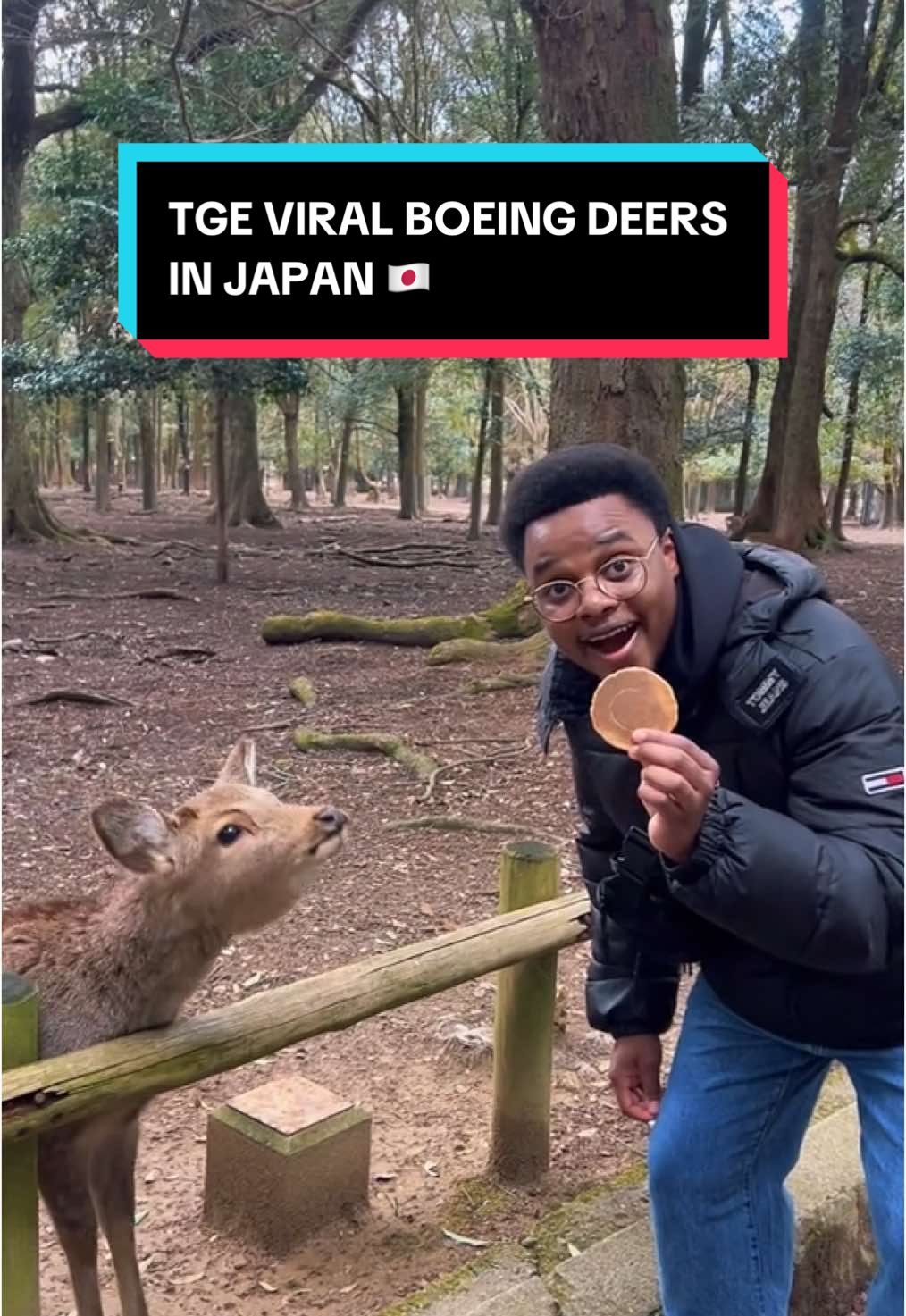 THE VIRAL BOWING DEERS IN JAPAN 🤯 (is it real or fake)