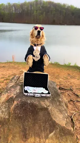 Bone 🦴  for bucks 💵 