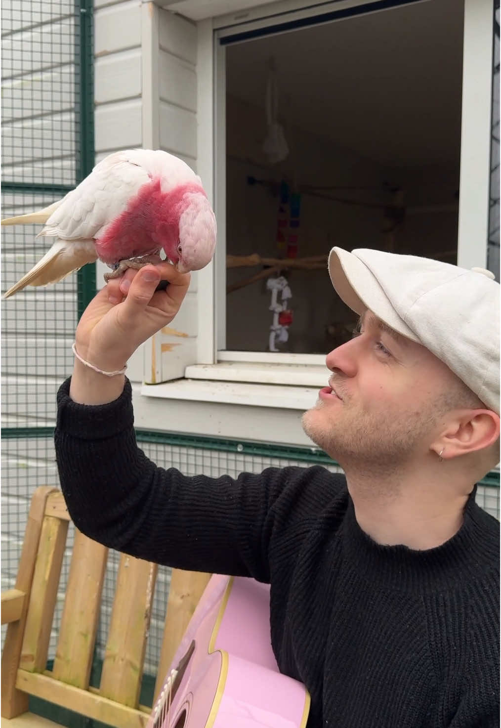 Le bêtisier à la fin de la vidéo 😂 Un moment incroyable chez @L’arche de François 🫶 #animaux #perroquet 