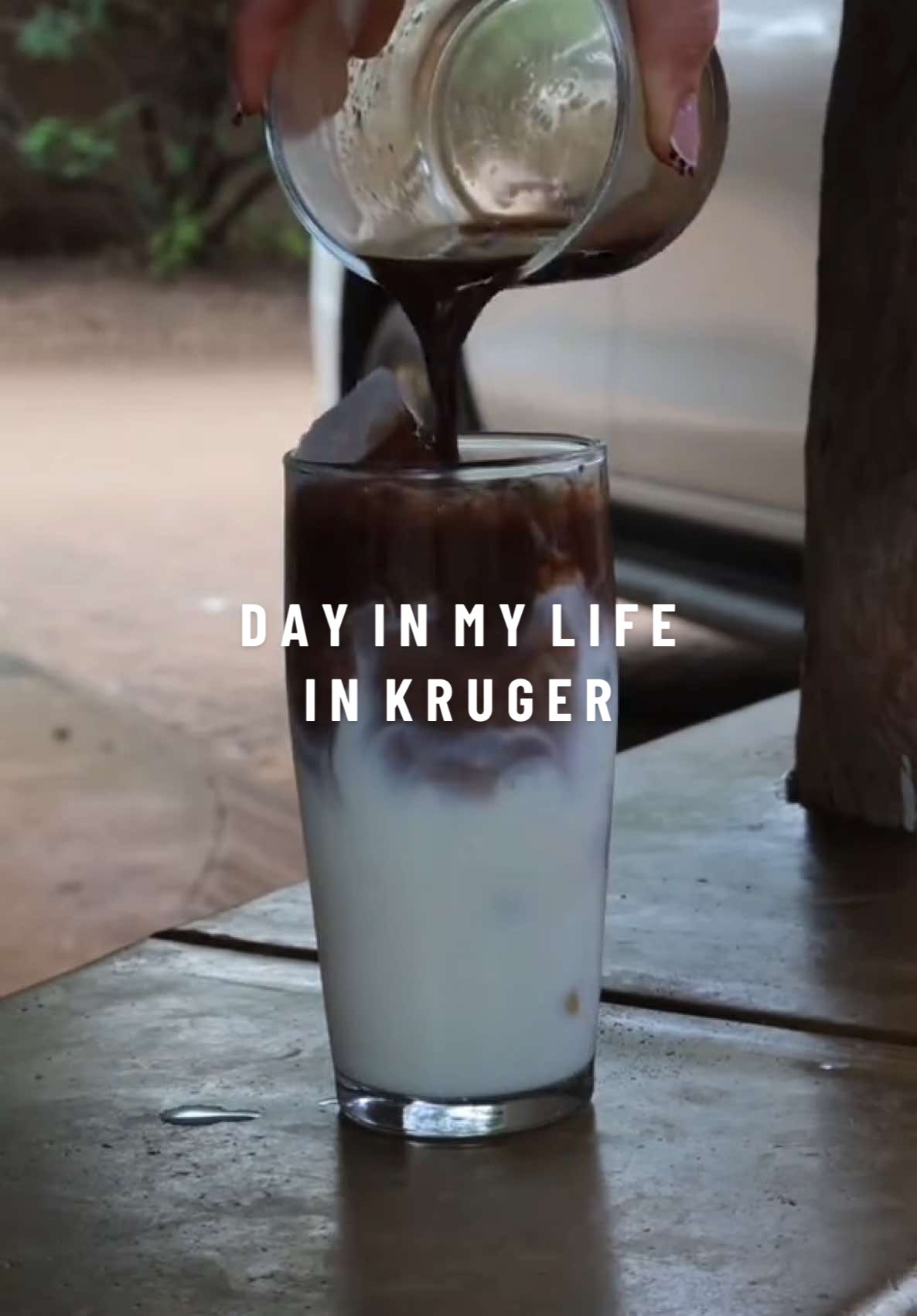Nothing quite like Kruger Mornings! ☀️🦓✨🐘 #krugernationalpark #southafrica #tiktoksouthafrica #kruger #krugerpark #dayinmylife #Vlog 