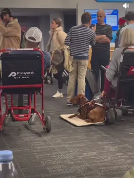 😂 thoughts? 💭🤔 #lgbtq #funny #airport #meltdown #viral #fyp #fypシ #funnyvideos #funnymoments #lgbt #couples #arguing #karens 