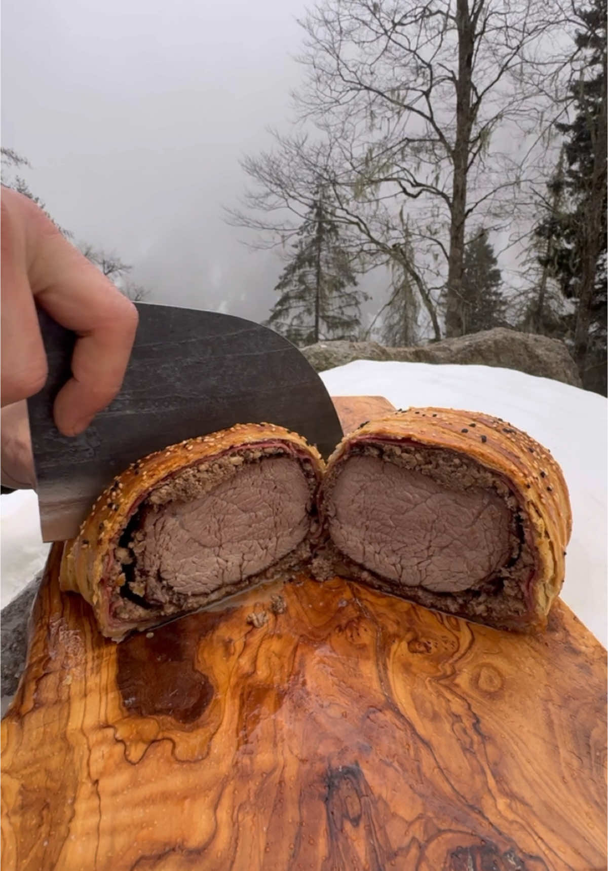 Beef Wellington in the Snow?! 😍🔥 #beef #beefwellington #Recipe #outdoorcooking #asmrcooking 