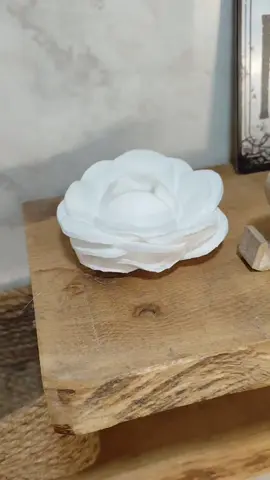DIY 🪷 Hoy os quiero enseñar cómo hacer una flor perfumada. Hacía mucho tiempo que no os enseñaba ninguno y la verdad es que lo echaba de menos. Para este solo necesitaréis una copa o vaso, discos desmaquillantes y silicona. Ya veis que es muy fácil de hacer y el resultado es muy bonito 🤗 Yo le he pulverizado uno de mis ambientadores favoritos pero también le podéis poner el perfume que más os guste. ¿Donde se puede poner? En el baño, en el tocador, dentro del armario, en vuestra mesilla... Hay mil y un lugar donde colocarla 🤍 Si te ha gustado espero tu ❤️ guarda para cuando vayas a hacerla 📂 o comparte con esa persona a la que le puede gustar 💌 #diydecor #diyhome  #detallesconamor  #hazlotumismo  #ideasdeco #creatorsearchinsights 