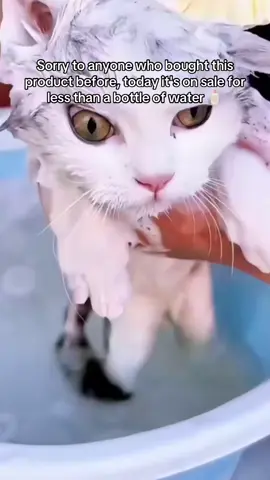 🛁 (Instant hit) Bathroom Puppycat Washing Massage Dispenser! 🐾 Soft silicone dog brush for a soothing massage & easy bath time. Perfect for grooming your pet with love & care! 🐶💧 #TikTokShop #PetGrooming #TikTok