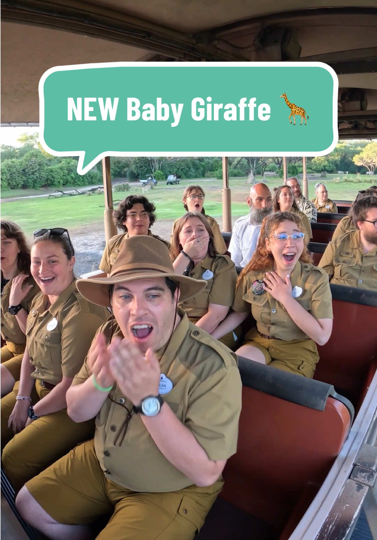 A cute new baby giraffe has entered the savanna 🤩🦒 #AnimalKingdom #Giraffe #BabyAnimals #DisneyCastLife #DisneyWorld 