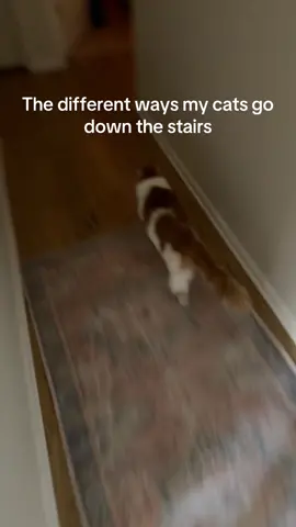 Brings me so much joy 