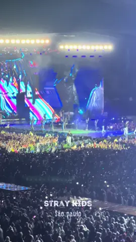 #straykids #dominatetourstraykids #skz #stay #dominatetourinlatam #brazil