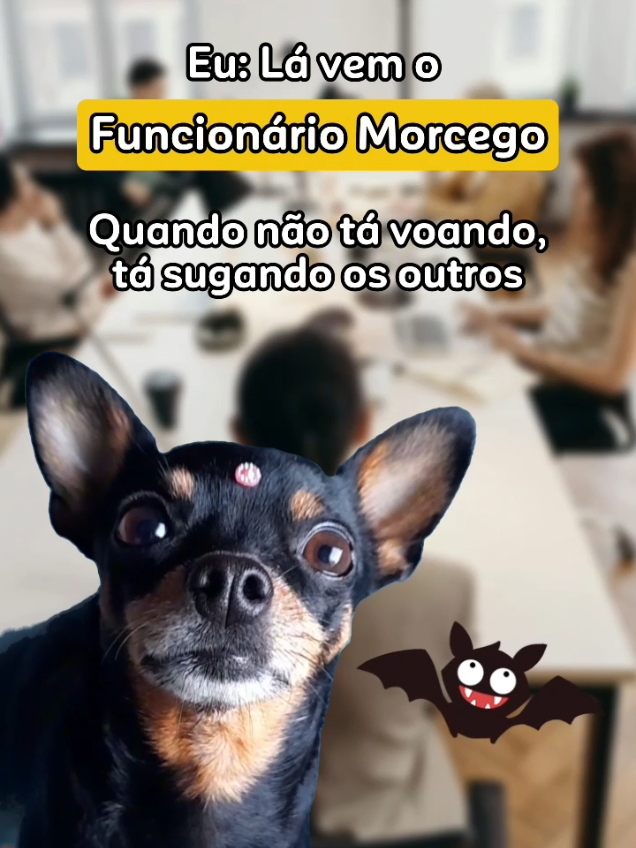 #dog #explore #fyp 
