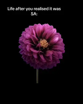 Im sorry if you can relate #fyp #fyppp #sa #venttok #SA #viralvideos #vent #w #loveyouall #talktome #mh #icareaboutyou #deadflowers 