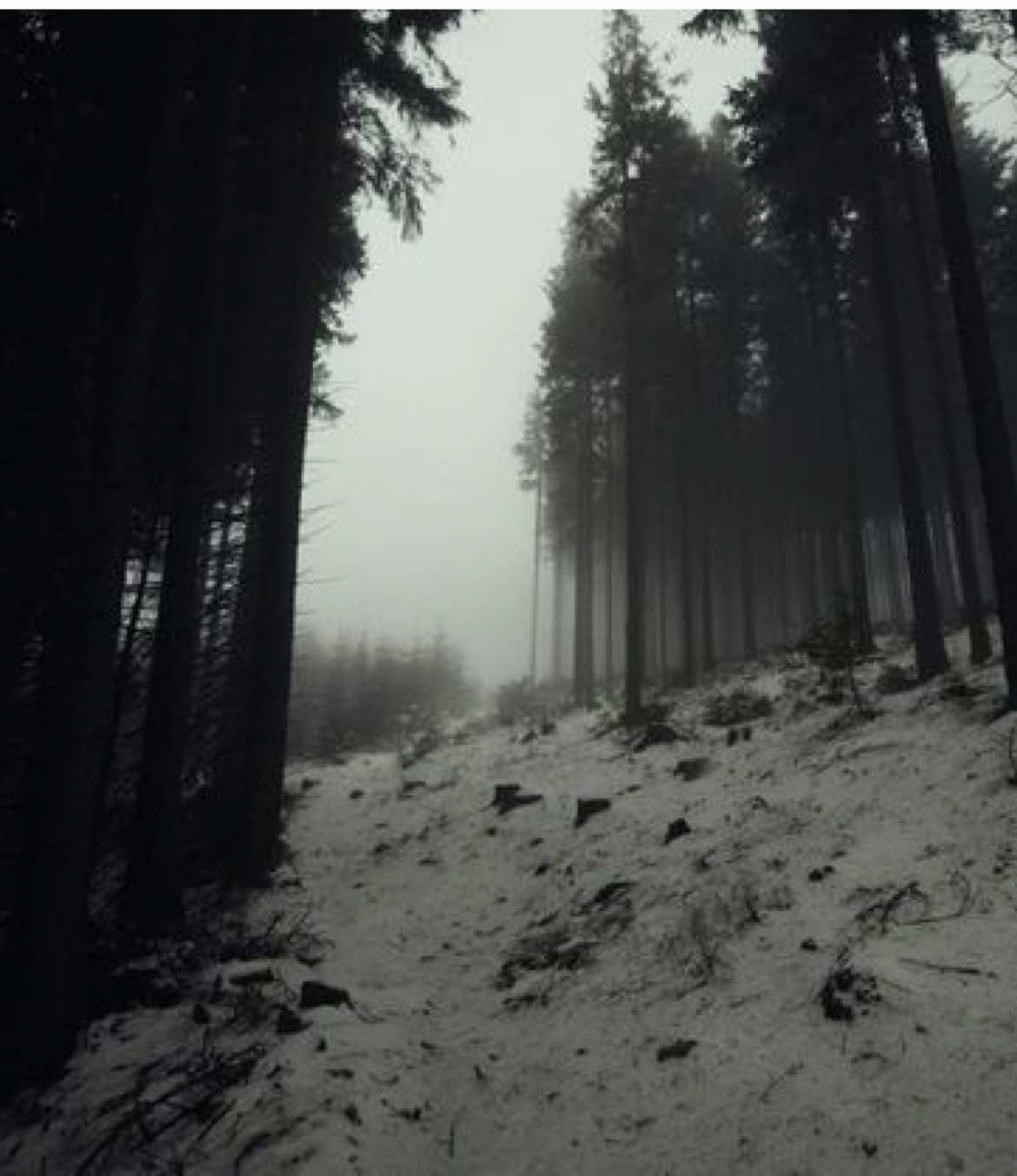 тригернуло #щп #fypシ゚ #щитпост #fyp #щппропапу #жизнь 