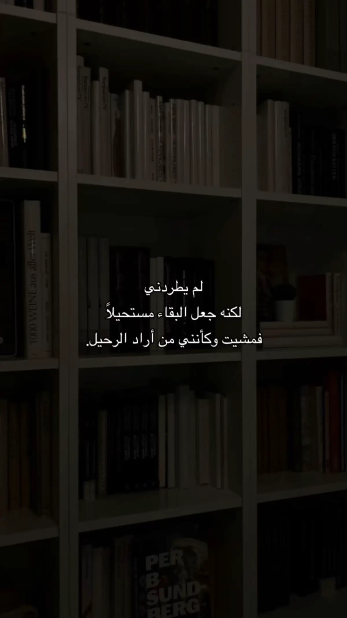 لا تقل لي أنك حين افترقنا كنت في جحيم، أنا كنت هناك طوال الوقت ولم أرك 🥹💔🤦‍♀️#fypツ #foryou #تصميم_فيديوهات🎶🎤🎬، 