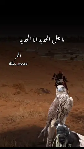 #أكسبلور_شعر_حكم_خواطر 